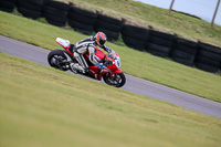 PJ-Motorsport-2019;anglesey-no-limits-trackday;anglesey-photographs;anglesey-trackday-photographs;enduro-digital-images;event-digital-images;eventdigitalimages;no-limits-trackdays;peter-wileman-photography;racing-digital-images;trac-mon;trackday-digital-images;trackday-photos;ty-croes